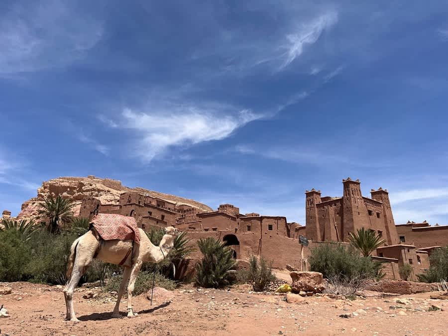 M’hamid El Ghizlan 2 Day Desert Tour From Marrakech