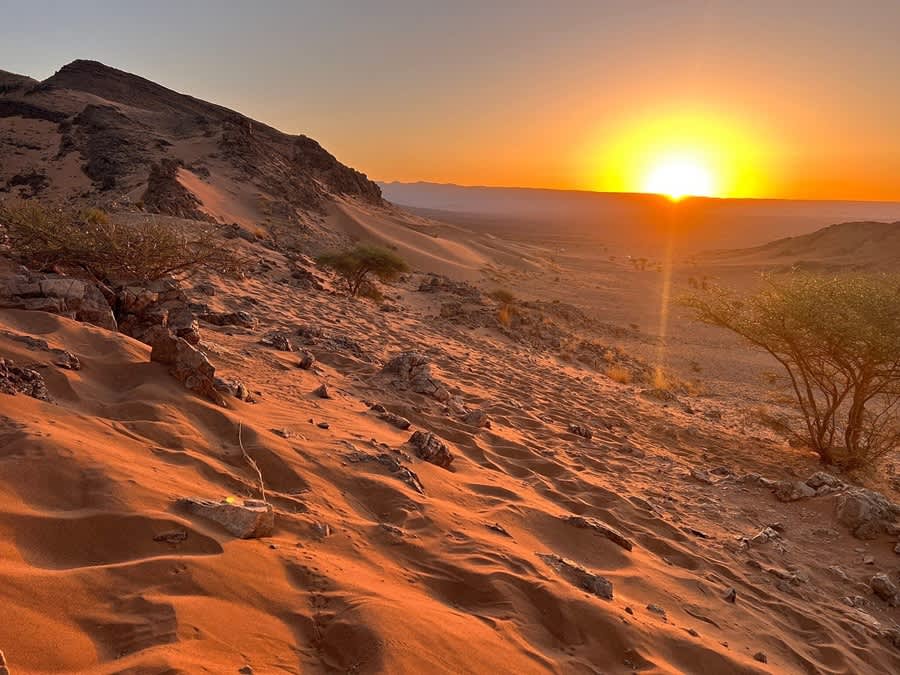 Marrakech to Zagora 2 Days Desert Tours