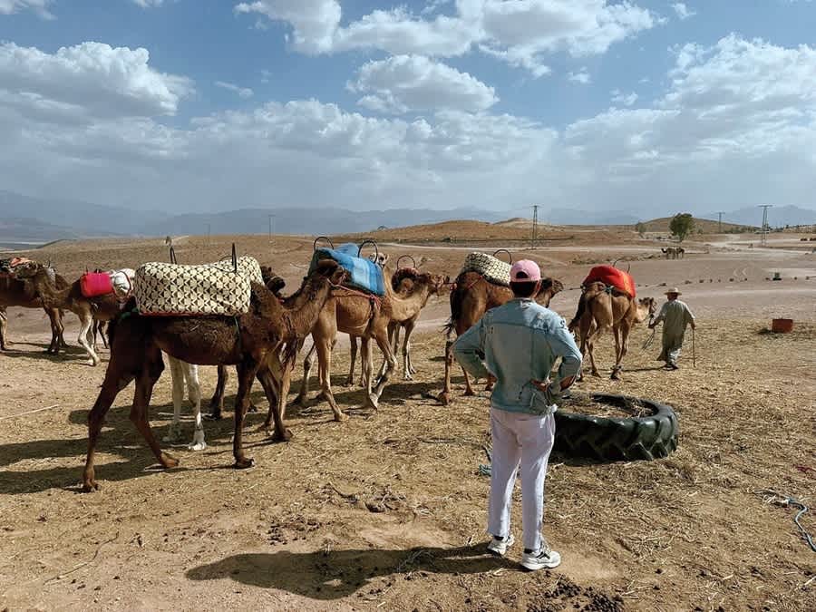 Shared Day Trip To Atlas Mountains And Desert Agafay