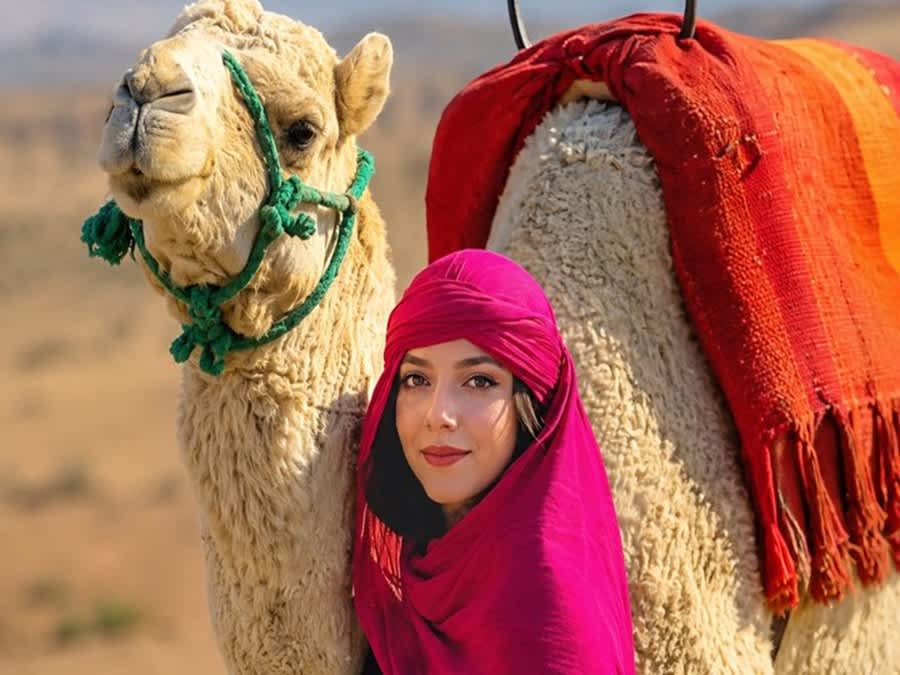 Sunset Camel Ride In Desert Agafay With Dinner