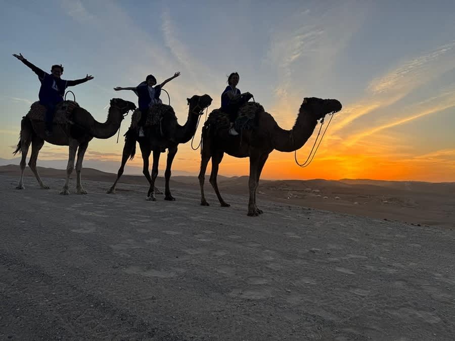 Marrakech Sunset Camel Ride In Desert Agafay