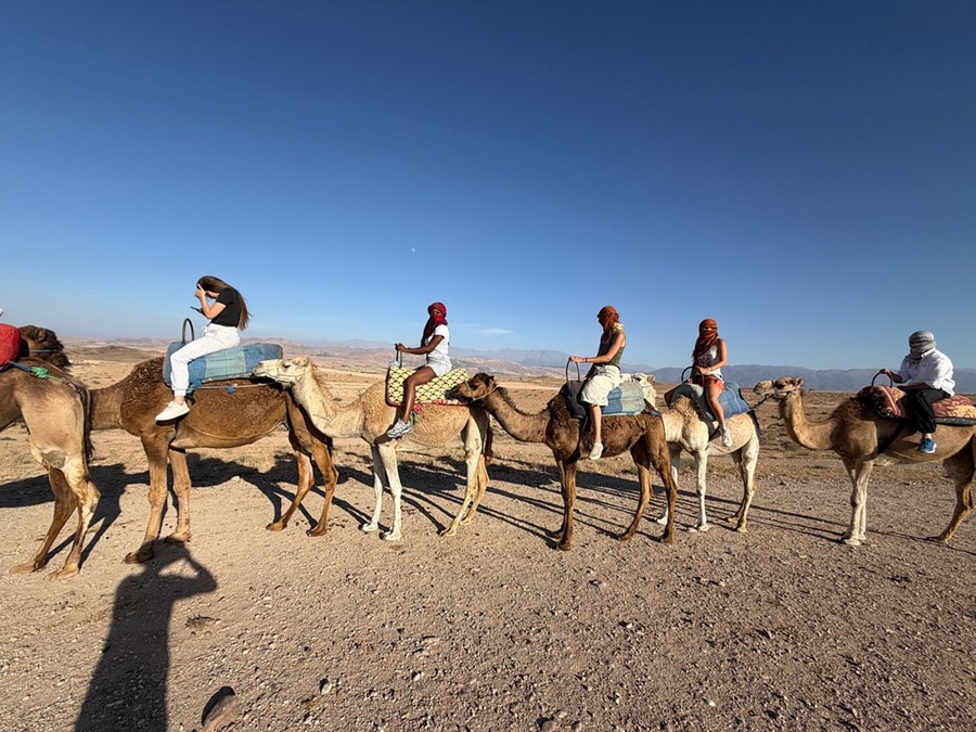 Camel Ride And Buggy Tour In Agafay Desert