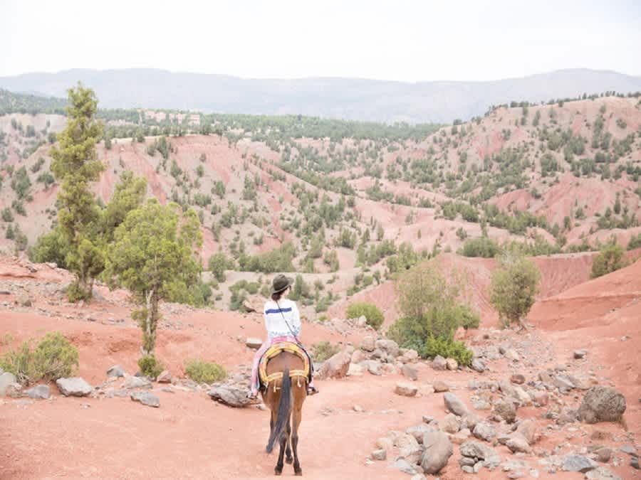 One Day Trip To Imlil, Lunch, And Mule Rides High Atlas Mountains