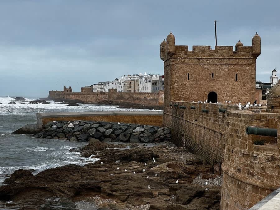 Marrakech One Day Trip To Essaouira – Private